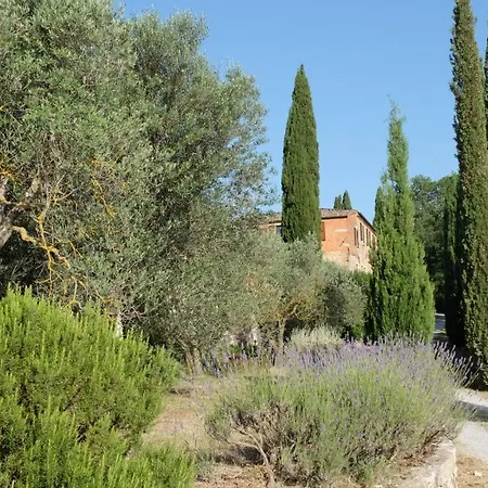 Il Poderuccio * Asciano