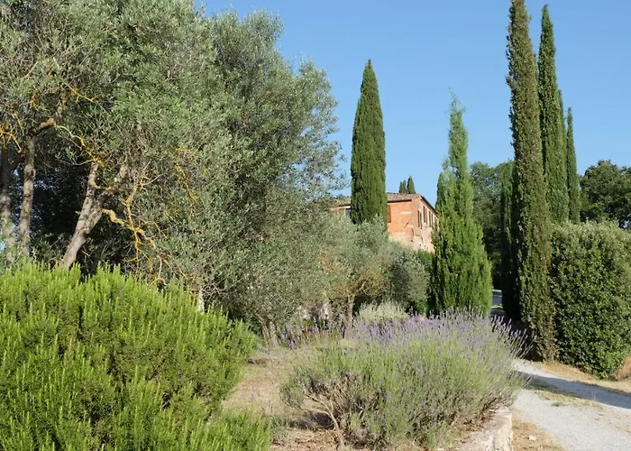 Il Poderuccio * אסיאנו